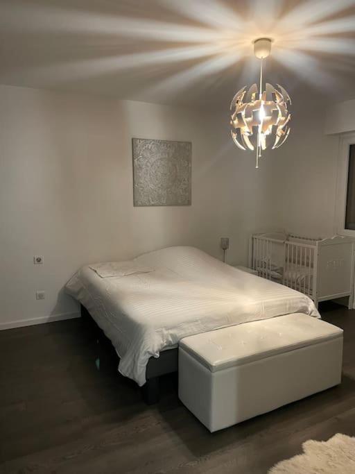 Appartement Cosy Strasbourg Schiltigheim Extérieur photo